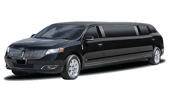 9 Passenger Stretch Limo